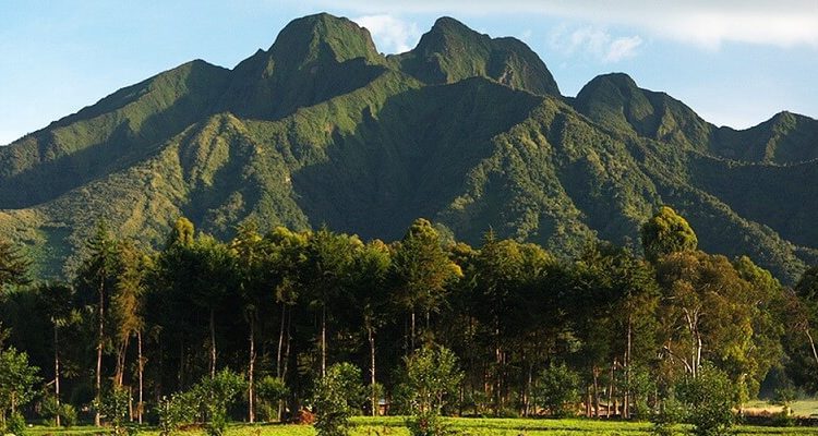 Complete Rwanda 8-Day Safari